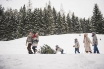 Due coppie e due bambini che trasportano l'albero di Natale nella foresta invernale — Foto stock