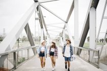 Amis marchant côte à côte sur le pont — Photo de stock