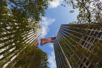 USA, New York City, skyscrapers, trees and American Flag at Downtown Manhattan — Stock Photo