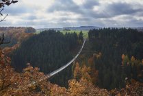 Germania, Renania-Palatinato, Hunsrueck, Saar-Hunsrueck-Steig, Swing Bridge Geierlay — Foto stock