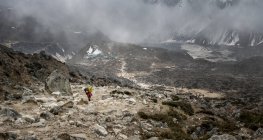 Nepal, Himalaya, Khumbu, Dughla, transportista en ruta de senderismo - foto de stock
