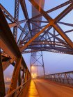 Луіс я мосту та річки Дору — стокове фото