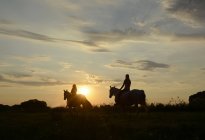 Junge Frauen, die in den Sonnenuntergang reiten — Stockfoto