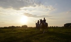 Junge Frauen reiten bei Sonnenuntergang auf einem Feld — Stockfoto