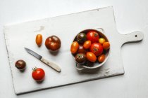 Bunte frische Tomaten in Schüssel — Stockfoto