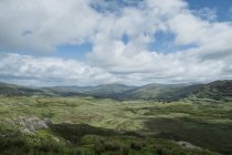 Veduta della verde valle alla luce del giorno, Glengarriff, Contea di Kerry, Irlanda — Foto stock