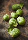 Fresh brussels sprouts — Stock Photo