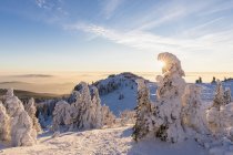 Германия, Бавария, Богемский лес зимой, Рихард-Вагнер-Хед и Большой Арбер на закате — стоковое фото