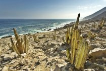 Перу, Арекипа, Окона, прибрежный ландшафт в Panhellicana Sur S1 — стоковое фото