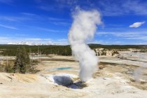 États-Unis, Wyoming, Parc national de Yellowstone, Norris Geyser Basin, Valentine Geyser — Photo de stock