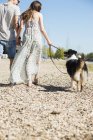 Pareja joven paseando con el perro al aire libre en verano - foto de stock