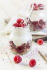 Glas Müsli-Dessert mit Himbeeren, Joghurt und Quinoa — Stockfoto