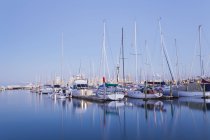 Nueva Zelanda, Auckland, Westhaven Marina, hora azul - foto de stock