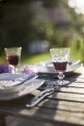 Tavolo da giardino coricato con due bicchieri di vino rosso alla retroilluminazione — Foto stock