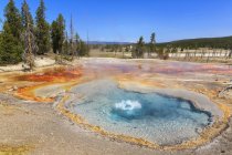 EUA, Wyoming, Parque Nacional de Yellowstone, Firehole Spring — Fotografia de Stock