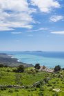 Grecia, Creta, Costa Sur y el agua agaisnt orilla con hierba verde - foto de stock