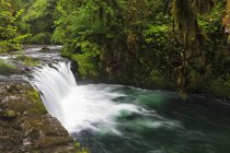 Usa, oregon, hood river county, columbia river gorge, untere Bowle fällt — Stockfoto