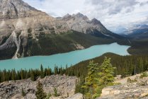 Canada, British Columbia, Banff National Park, Peyto Lake contro le rocce — Foto stock