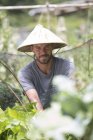 Portrait of gardener with Asian hat — Stock Photo