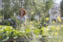 Giovane donna giardinaggio, giardinaggio urbano — Foto stock