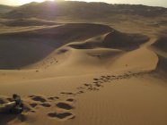 United Arab Emirates, Abu Dhabi, Desert dune and traces in sand — Stock Photo