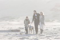 Счастливая семья, гуляющая на пляже с собакой на красивой природе — стоковое фото