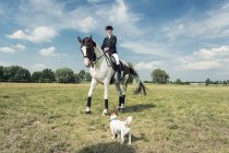Dressage jinete a caballo con pequeño perro de pie en el primer plano - foto de stock