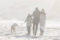 Vista posteriore di famiglia passeggiando sulla spiaggia con cane a bella natura — Foto stock