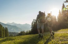 Австрия, Тироль, Таннхаймер Таль, молодая пара, путешествующая по альпийскому лугу на заднем плане — стоковое фото