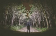 Vista posteriore di un uomo in piedi sulla pista forestale di notte illuminando il bosco con una torcia elettrica — Foto stock