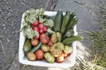 Surtido de verduras frescas recogidas en caja - foto de stock