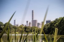 USA, New York City, rowing boat at lake in Central Park, city skyline and blades of grass on foreground — Stock Photo