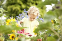 Дівчинка стоїть в саду полив квітів — стокове фото