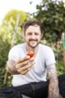 Man's hand holding tomato — Stock Photo