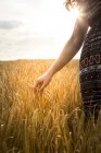 Mujer de pie en el campo de cebada - foto de stock