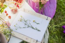 Germany, Saxony, drawing board, paper and chamomile flowers — Stock Photo
