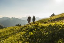 Autriche, Tyrol, Tannheimer Tal, jeune couple randonnée sur prairie alpine en contre-jour — Photo de stock
