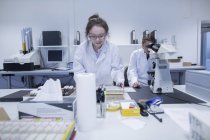 Asistentes de laboratorio que trabajan en el laboratorio médico - foto de stock