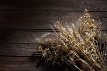 Oat, Avena, barley, and rye in light on wooden background — Stock Photo