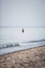 Deutschland, nienhagen, blick am strand mit angler im meer im hintergrund — Stockfoto