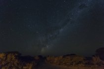 Botswana, Kalahari, zentrales Kalahari-Wildreservat, Sternenhimmel mit Milchstraße — Stockfoto