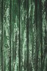 Textura de madera, madera verde - foto de stock