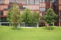 Vew à la façade de l'immeuble de bureaux à Hafencity avec des arbres et prairie — Photo de stock