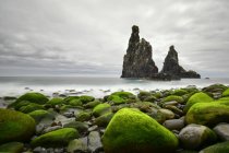 Portugal, Madeira, Rocky coast, Rock formations — Stock Photo