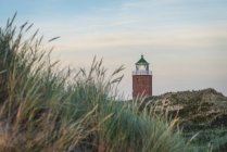 Green heath with lighthouse on background — Stock Photo