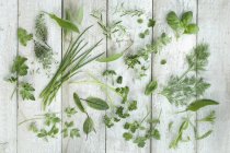 Top view of different fresh herbs on white wood — Stock Photo