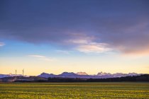 Germania, Baviera, Palling, mulini a vento dal campo panoramico e montagne sullo sfondo in luce serale — Foto stock