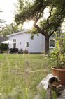 Alemania, Eggersdorf, bungalow y jardín con césped verde - foto de stock