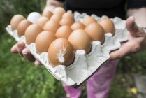 Woman holding fresh eggs in carton with feather — Stock Photo
