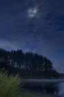 Bulgaria, Rhodope Mountains, forest at shore of Dospat Reservoir by moonlight at night — Stock Photo